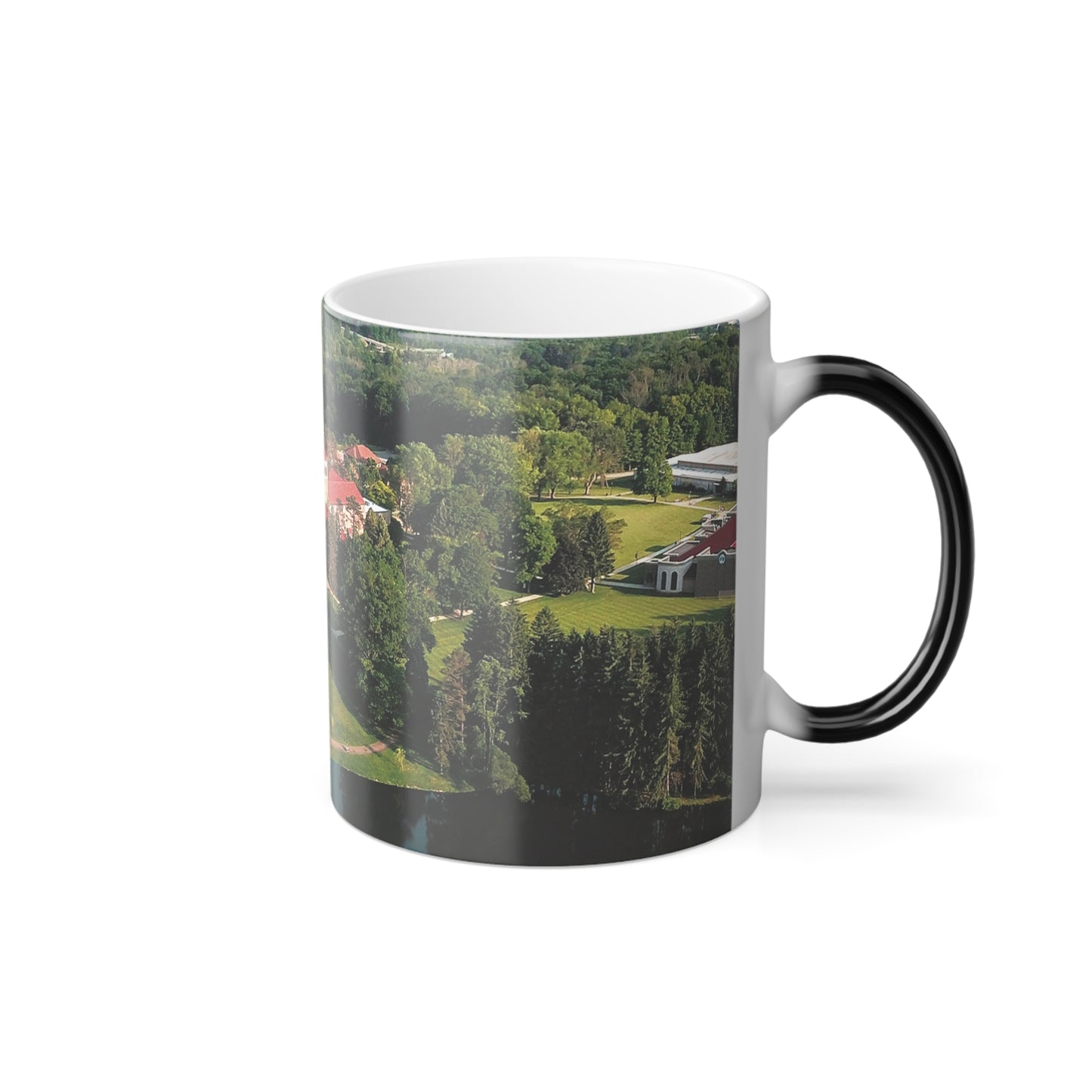 CSU Color Morphing Mug